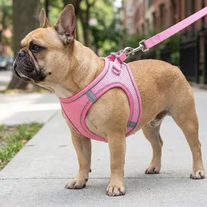 Ensemble gilet harnais en maille réfléchissante anti-traction pour chien avec laisse
