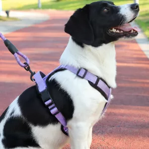 Ensemble harnais gilet anti-traction réfléchissant et laisse pour chien