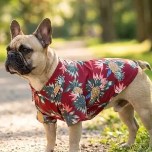 Chemise d’été hawaïenne mignonne en mousseline pour chiens