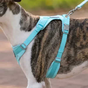 Harnais respirant anti-traction pour chien