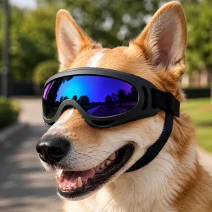 Lunettes de soleil élégantes pour chien avec protection UV et sangles réglables