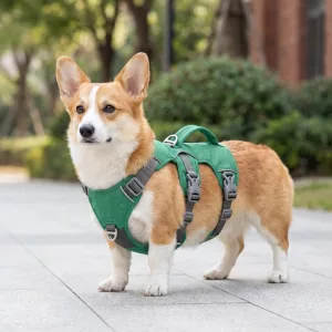 Harnais-gilet réfléchissant anti-traction en nylon pour chien