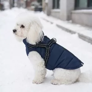 dog jacket