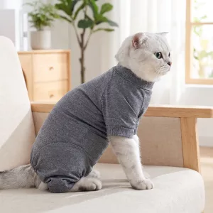 Combinaisons respirantes de convalescence pour chat après chirurgie