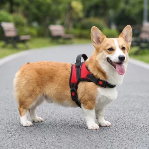 Gilet harnais respirant anti-traction pour chien