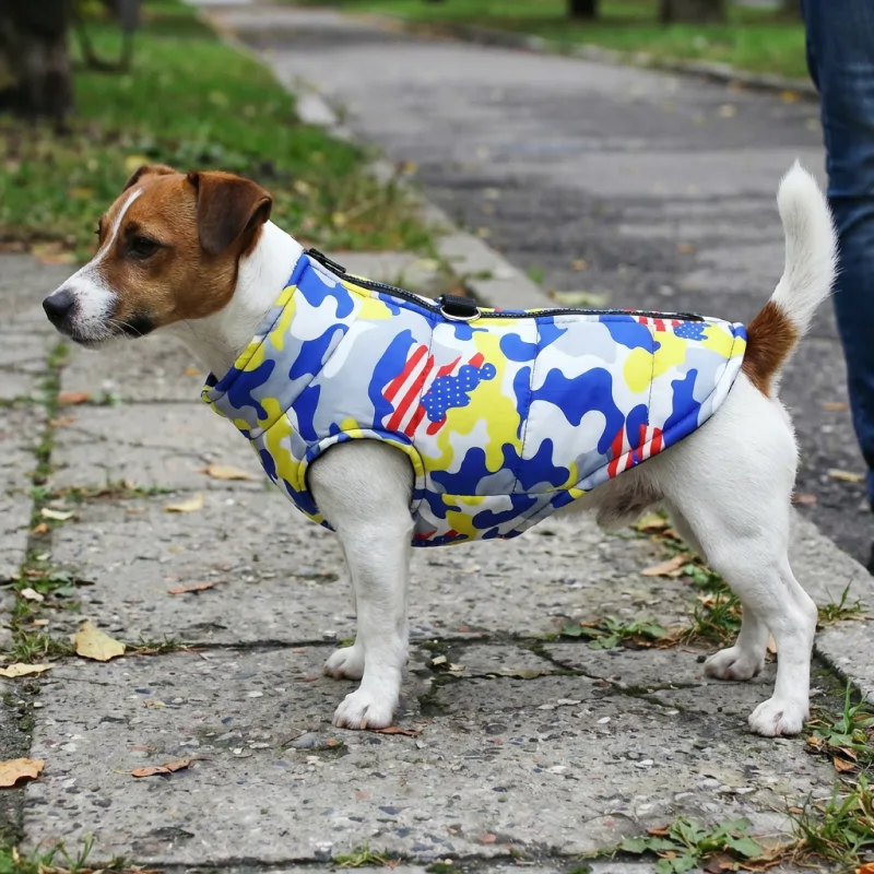 button jacket for dogs, button up jacket