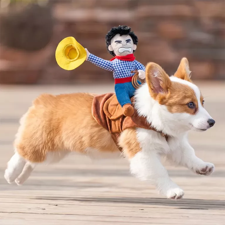 cowboy dog halloween costume, cowboy riding dog costume