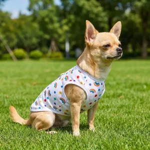 Débardeur respirant rafraîchissant d’été mignon pour chien