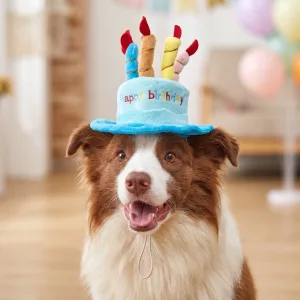 dog birthday hat, dog party hat