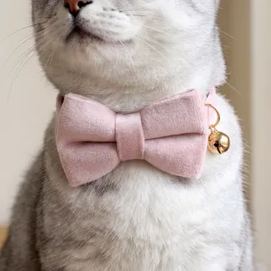 Joli collier doux pour chat avec nœud et clochette