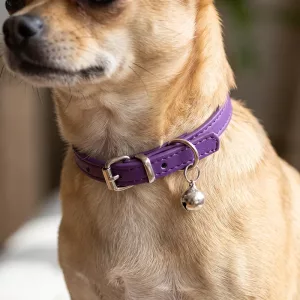 Collier réglable pour chien avec clochette