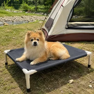 elevated camping dog bed