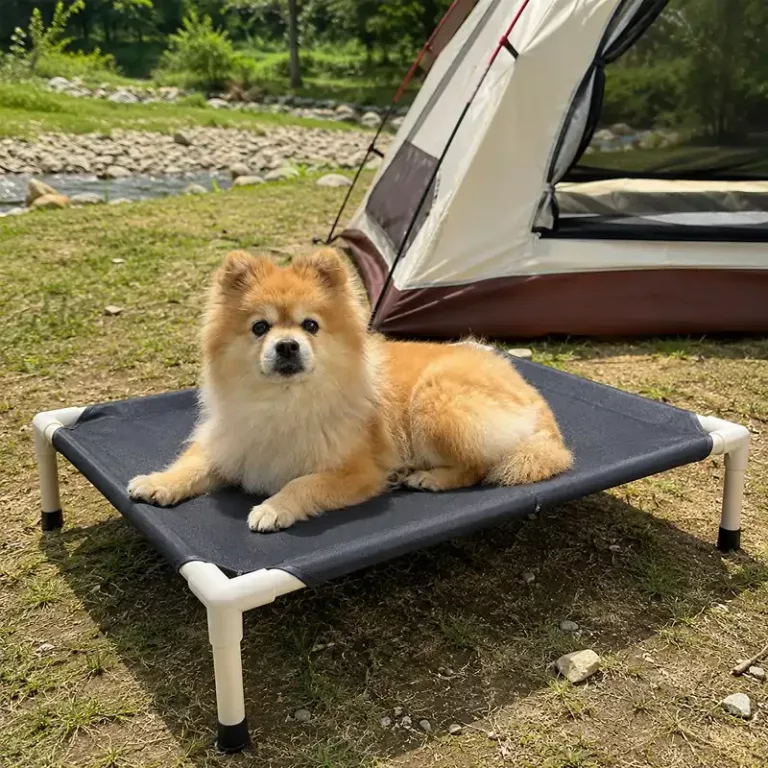 elevated camping dog bed