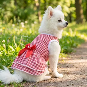 Jolie robe d’été à nœud pour chiens