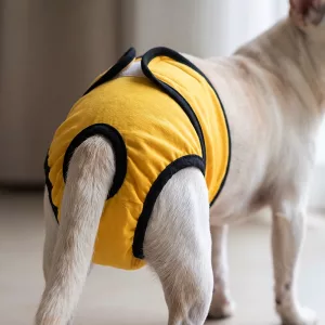Couches pour chiens réutilisables, lavables et très absorbantes