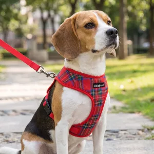 Ensemble gilet harnais anti-traction à carreaux pour chien avec laisse