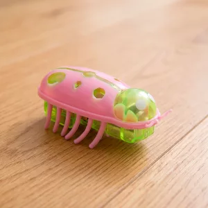 Jouet insecte électrique amusant et interactif avec herbe à chat pour chats