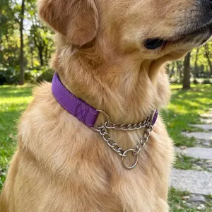 Collier pour chien en nylon réfléchissant avec chaîne en acier inoxydable